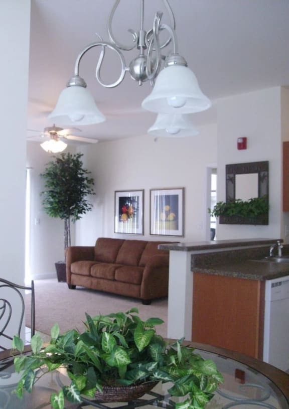 Storyboard on Black Diamond Apartments in Carbondale, IL